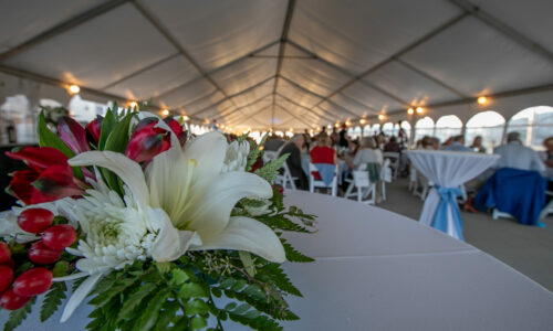 Lux Fest 2024-051 (1)