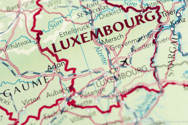 pic-for-lions-roar-April-LTL-1-e1777469020395